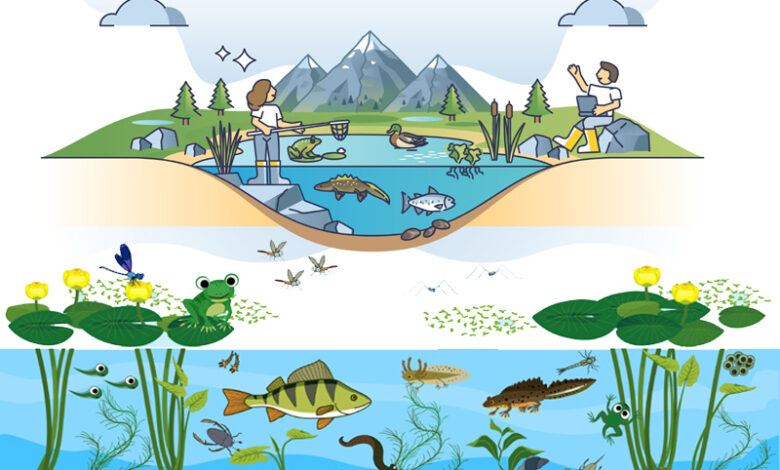 Types Of Ecosystems Around The World