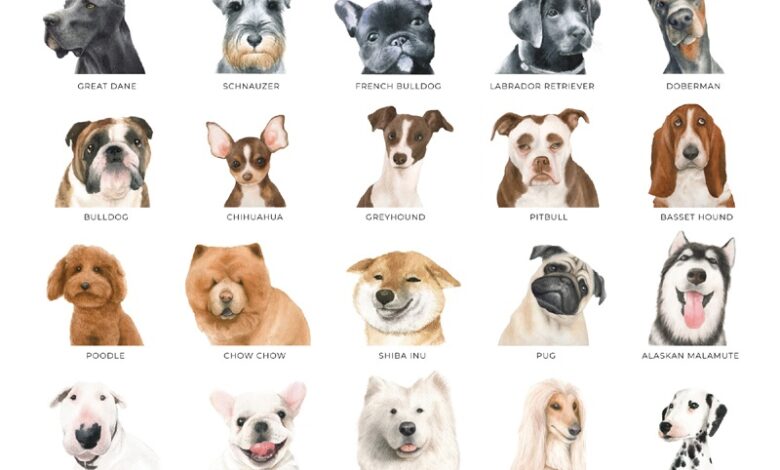 Types Of Dog Breeds