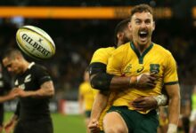 Prickly White set for surprise return for Wallabies' clash against All Blacks, Schmidt boosts bench size