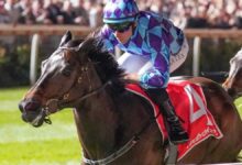 2024 Cox Plate tips and preview: Pride of Jenny will set up Mooney Valley, but can she keep out Mister Brightside and Via Sistina?