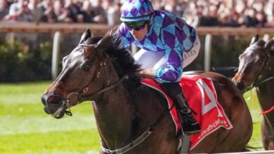 2024 Cox Plate tips and preview: Pride of Jenny will set up Mooney Valley, but can she keep out Mister Brightside and Via Sistina?