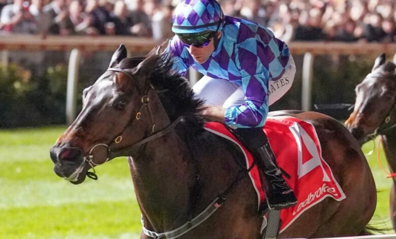 2024 Cox Plate tips and preview: Pride of Jenny will set up Mooney Valley, but can she keep out Mister Brightside and Via Sistina?