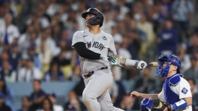 MLB fans blast Dodgers Spectator for interfering in potential HR by Yankees' Torres