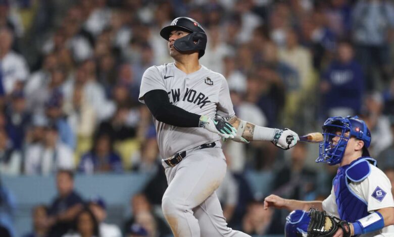 MLB fans blast Dodgers Spectator for interfering in potential HR by Yankees' Torres